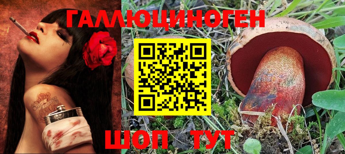 Тула  Галлюциногенные грибы Magic Shrooms  закладка  Вход с VPN 