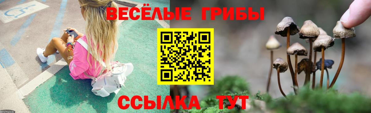 Псилоцибиновые грибы Magic Shrooms Тула
